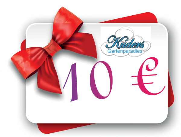 Geschenkgutschein A, Wert