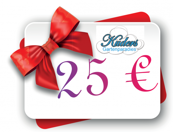 Geschenkgutschein B, Wert